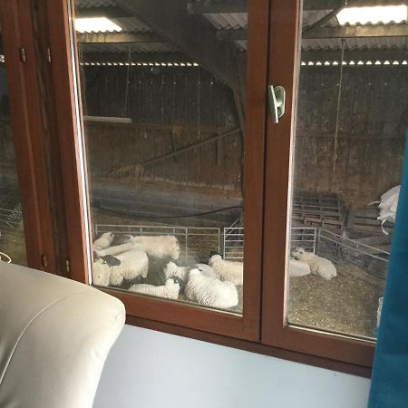 Le Loup Dans La Bergerie Montmartin-sur-Mer Exterior foto
