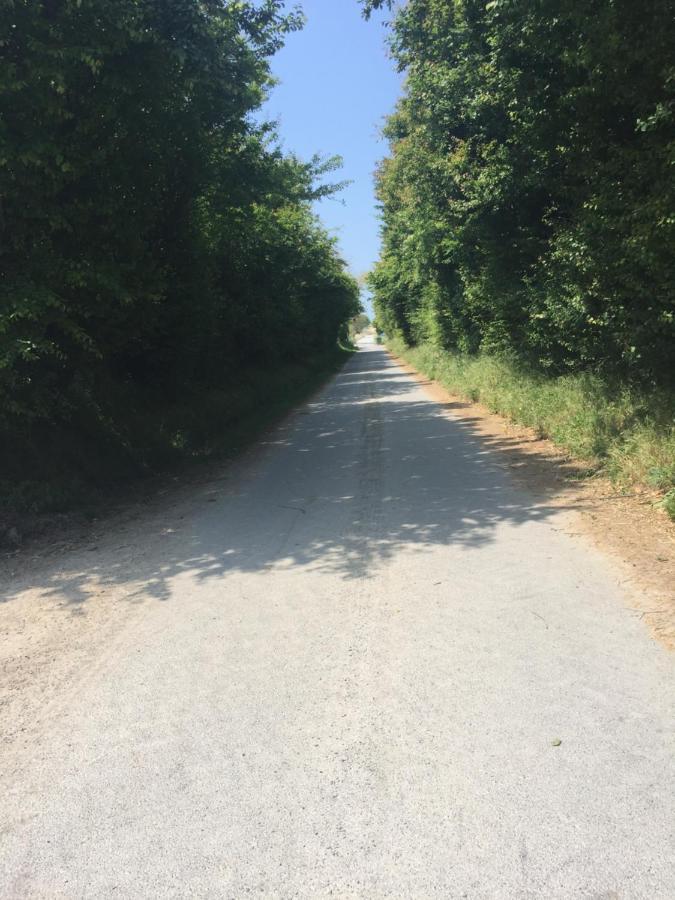 Le Loup Dans La Bergerie Montmartin-sur-Mer Exterior foto