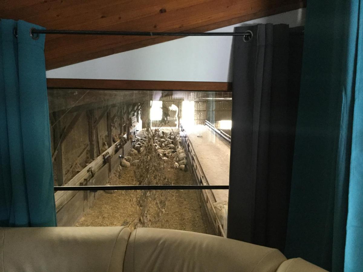 Le Loup Dans La Bergerie Montmartin-sur-Mer Exterior foto
